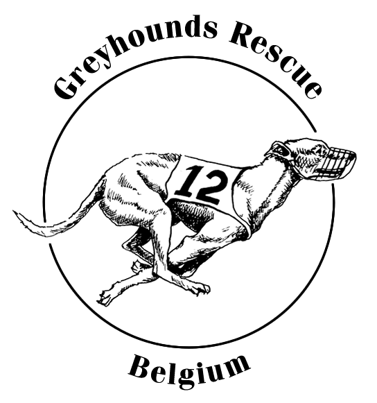 logo Greyhounds Rescue Belgium picture