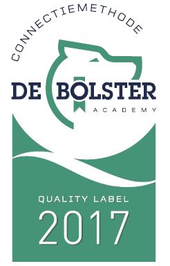 Quality Label - 2017 Bolster Academy Quality Label - 2017