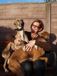 Stichtster Greyhounds Rescue Belgium v.z.w.